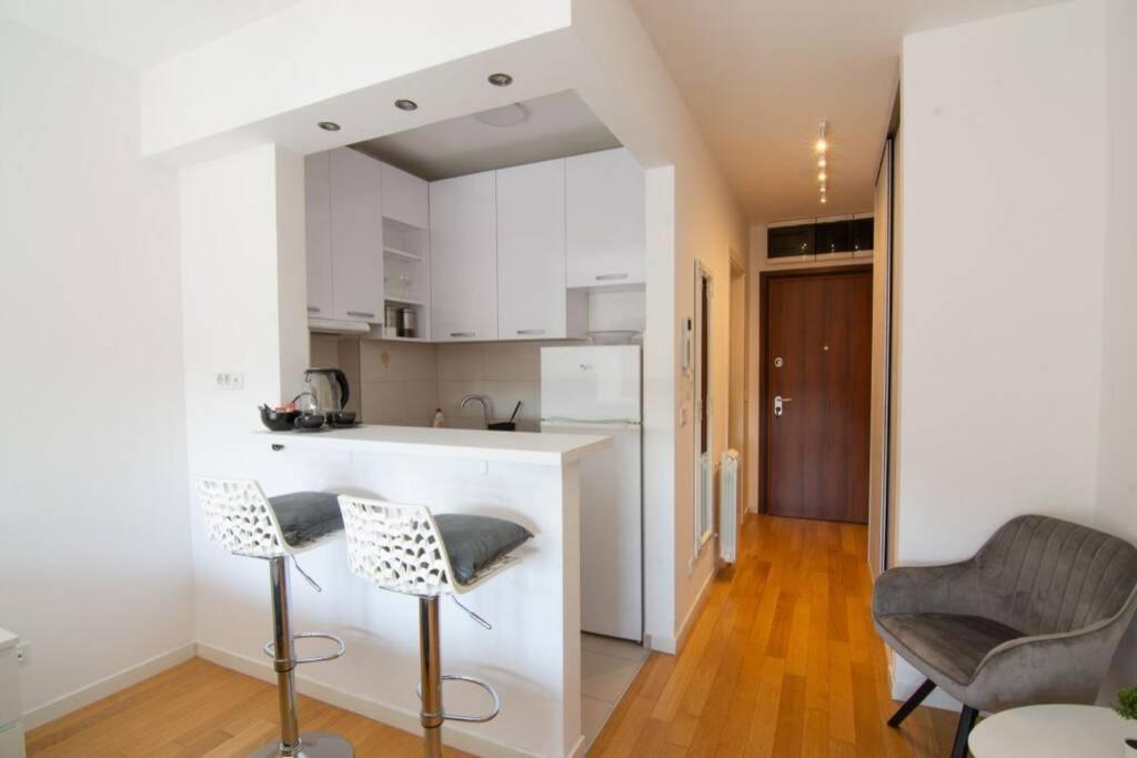 A Blok New Modern - Free Garage Parking, Comfortable, Quiet With A Park View ベオグラード エクステリア 写真