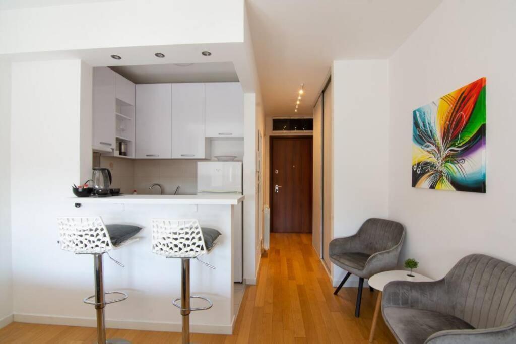 A Blok New Modern - Free Garage Parking, Comfortable, Quiet With A Park View ベオグラード エクステリア 写真